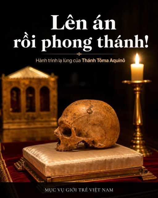 Thánh Tôma Aquinô | Tập 7: Lên án rồi phong thánh!